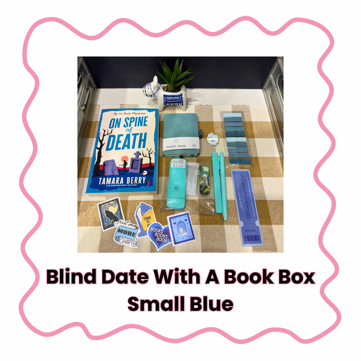 Blind Date With A Book Box