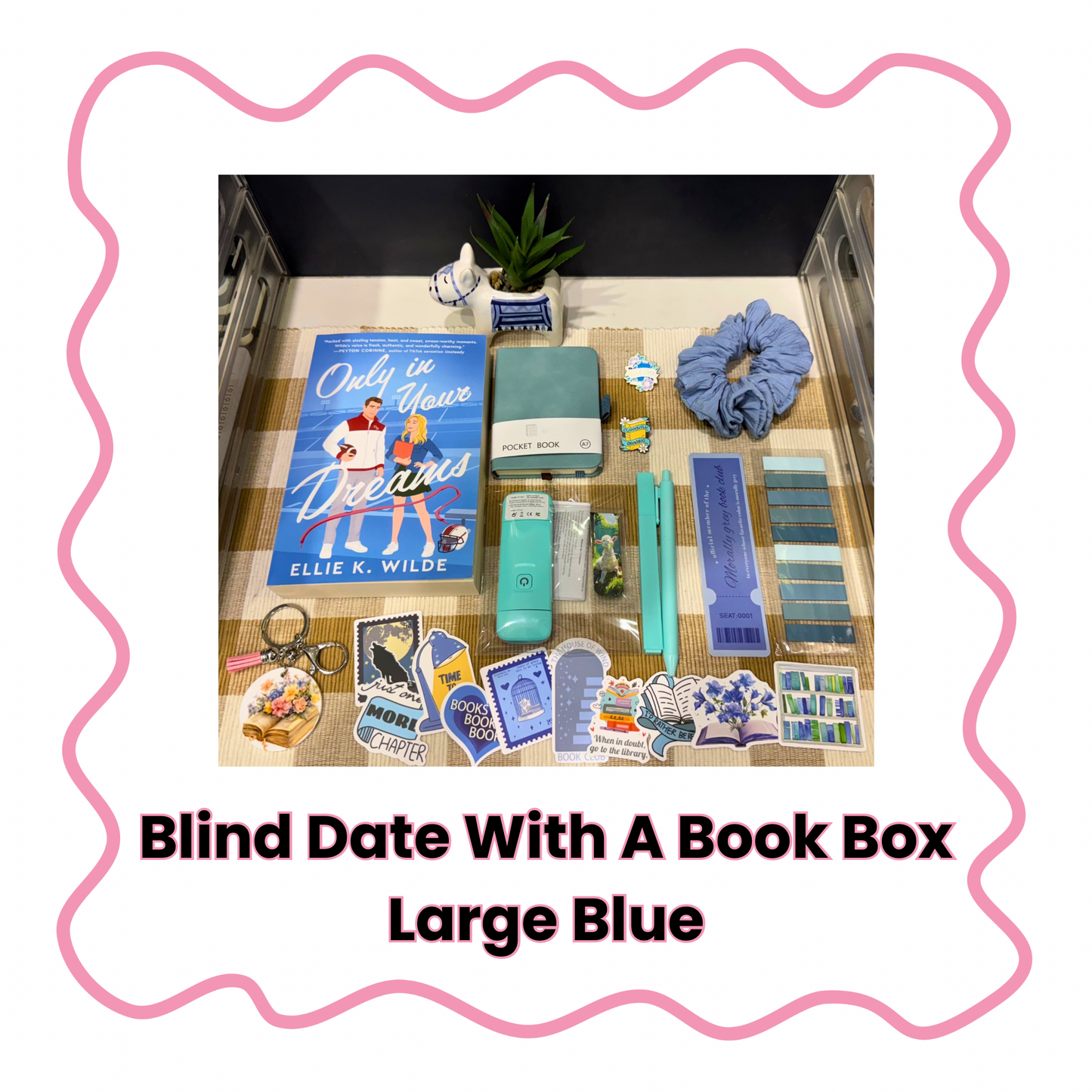 Blind Date With A Book Box