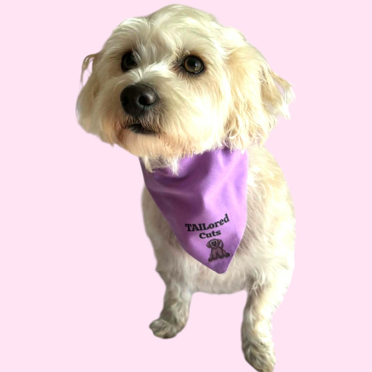 Custom - Over the Collar Bandanas - Pack of 25